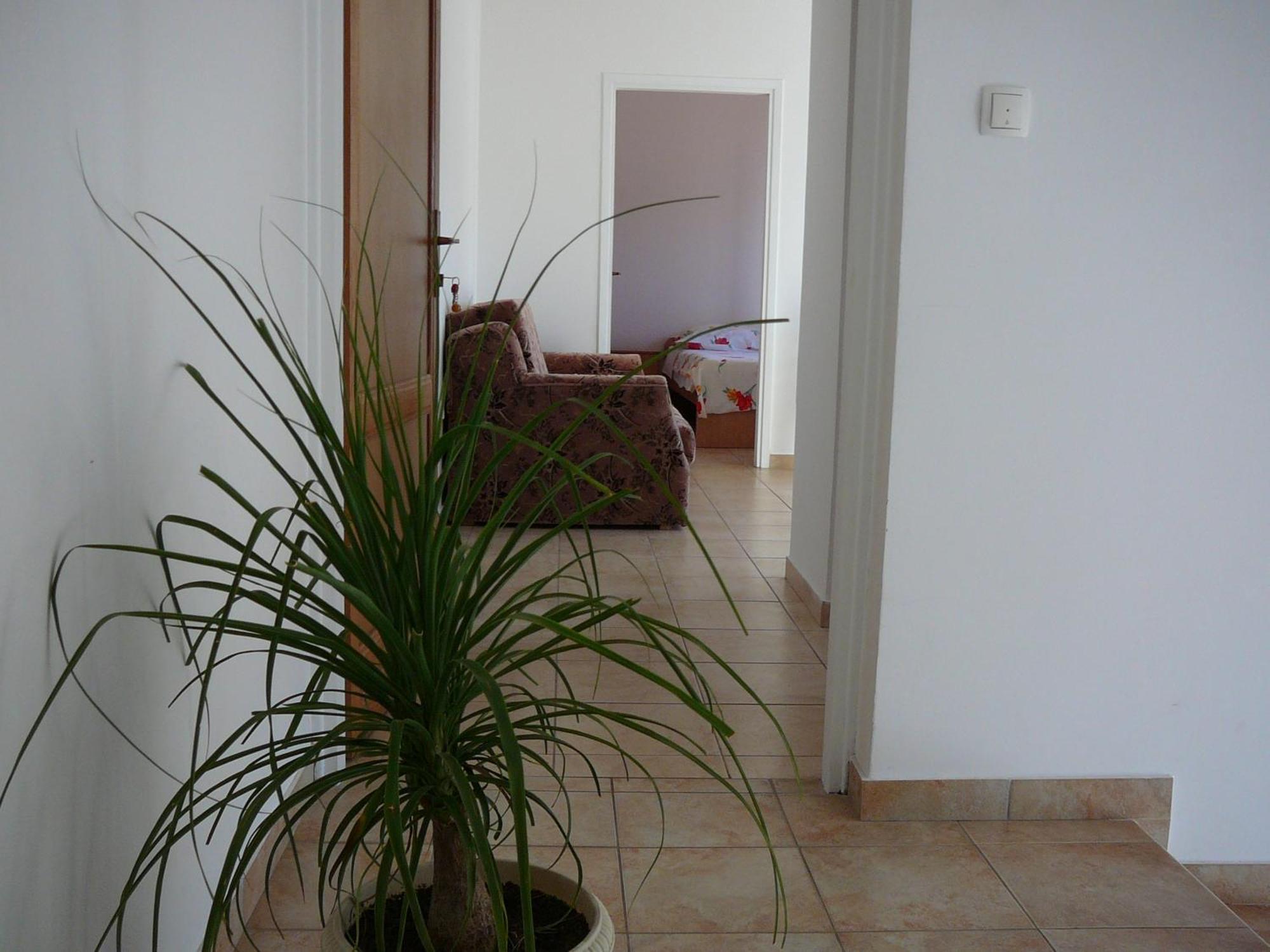 Perica Apartments Zadar Exterior photo
